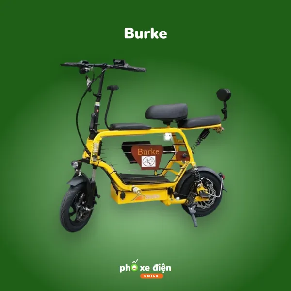 Xe Điện Burke