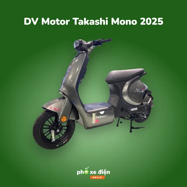 Xe Điện DVMOTOR Takashi Mono 2025
