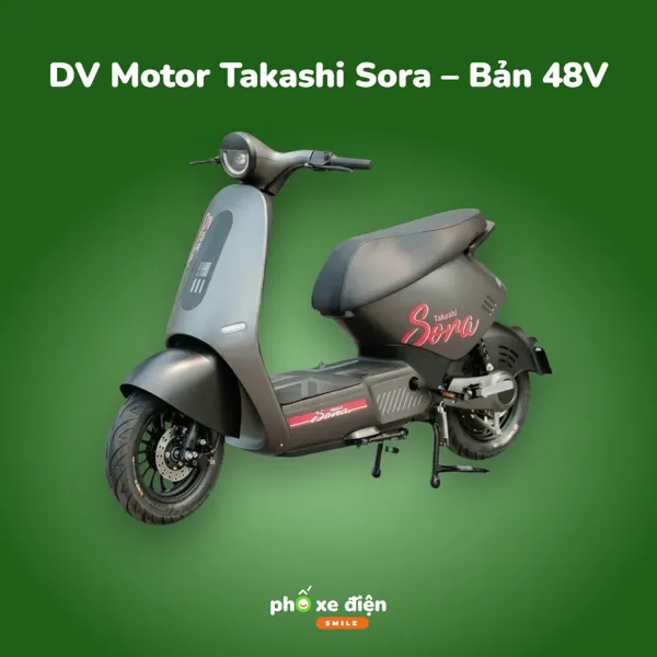 Xe Điện DVMOTOR Takashi Sora – Bản 48V
