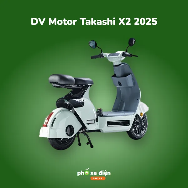 Xe Điện DVMOTOR Takashi X2 2025